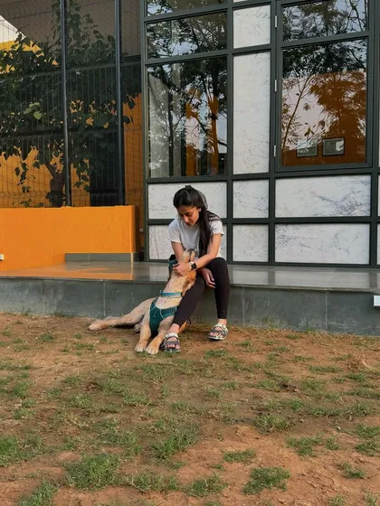 A quiet moment with Zorro at the center. We provide a safe space for dogs to work through their challenges at their own pace.