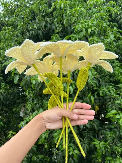 A new shade of pale yellow lily stems, perfect for a soft, elegant look.