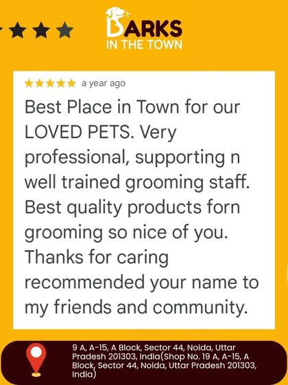A five-star review calling us the "Best Place in Town for our LOVED PETS." They appreciated our professional, well-trained staff and quality products.