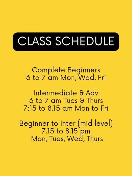 My class schedule, with dedicated batches for complete beginners, intermediate, and advanced students.