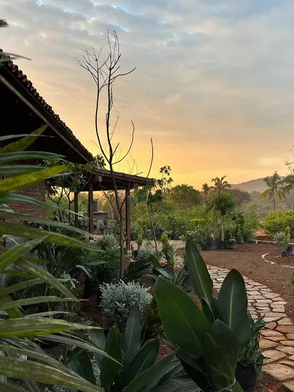 Sunset over the newly planted garden at the Kamshet farmhouse. The winding stone path and diverse plant palette are the first steps in creating a landscape that will mature and evolve with the home over time.