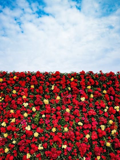 Grand Stages & Photo Backdrops photo 10