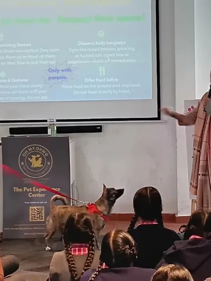Here I am, arm in a sling and all, conducting a compassion workshop at Lawrence High School. An accident couldn't stop me from sharing my passion. It's so important to teach children how to safely and respectfully interact with community animals, and my own Indie, Miney, is the perfect co-teacher.