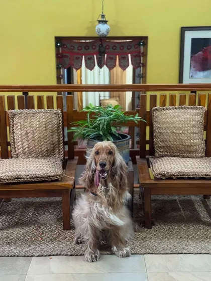 Posing for a picture in the beautiful seating area of our homestay.