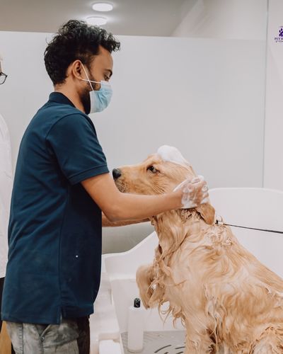 Veterinary Care