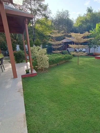 Another perspective of the landscape makeover, showing the expansive lawn and carefully placed trees that add height and structure to the garden design.