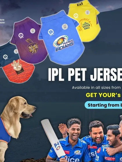 Let your pet show their team spirit! I've got these awesome IPL-inspired pet jerseys so your furry friend can be part of the cricket action. They are available in all sizes from XS to 5XL, because every fan deserves to cheer in style.
