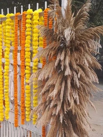 Shanaya Decorations - Wedding & Pre-Wedding Decoration Additional Decor Details photo 6