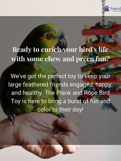 PawsnCollars - Pet Supplies Playtime & Enrichment Toys photo 11