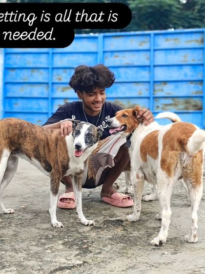 Some petting is all that is needed to make their day. It's the simplest things.