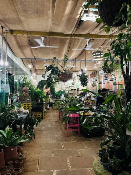 I truly believe coffee tastes better when you're surrounded by plants and good vibes. The whole space is designed to be a feast for the senses.