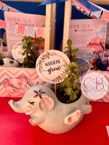 A close-up of the adorable elephant-shaped planter from our baby shower hamper. The "Watch Me Grow" tag adds a sweet, personal touch to this lasting gift.