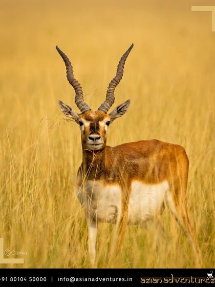 Meet Our Team & Global Community photo 24