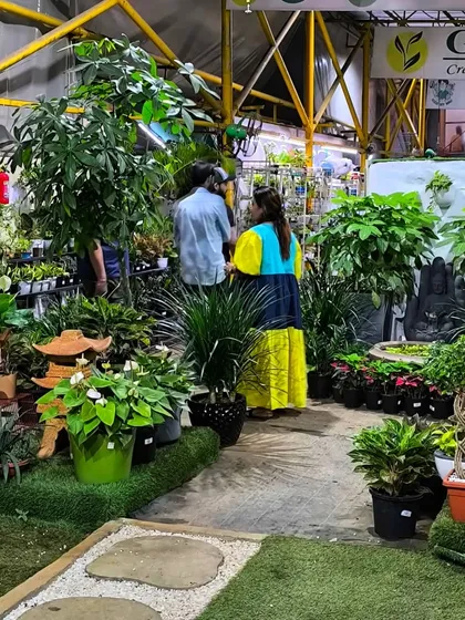 We love seeing our customers explore the aisles and find plants that speak to them. Our centre is designed to be a place of discovery and green therapy.