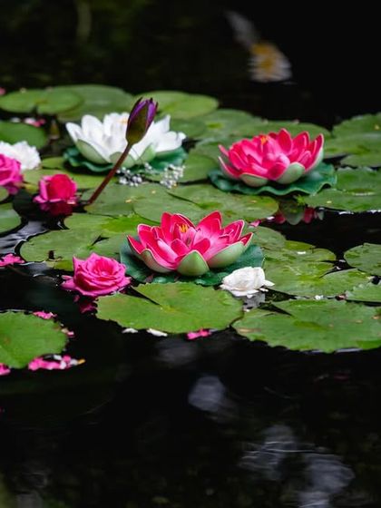 Novella - Wedding & Engagement Planning Charming Details & Decor photo 4