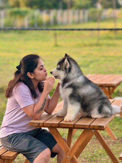 The Pawsome Camp - Dog Park & Pool Paws & People: A Community of Dog Lovers photo 11