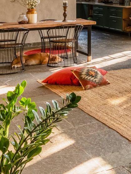 The calming palette of this dining space is elevated by the use of Kota stone flooring. This choice is not just for aesthetics; it's a durable and cool surface, perfect for the comfort of our cherished four-legged companions.