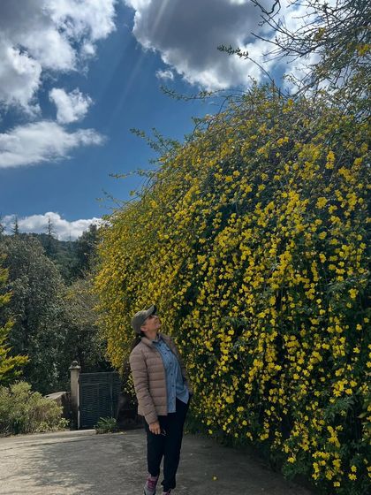 Nature Immersion & Forest Therapy photo 16