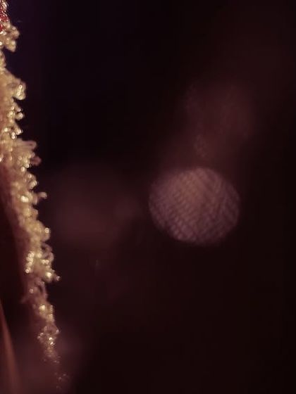 Iconic Bridal Portraits photo 8