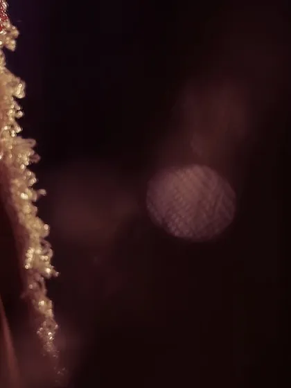 A cinematic close-up of a bride, using soft, low light to create a moody and romantic portrait.