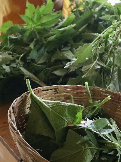 Farmus - Farm Day Out Experience A Taste of the Farm photo 11