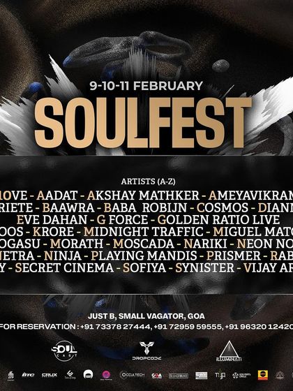 Dianna - Live DJ Performance Festival & Large Scale Events photo 4