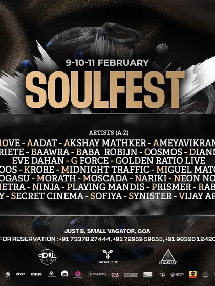 This is how we bring a festival to life. The official Soul Fest Goa poster showcases the massive, curated lineup of over 30 artists, demonstrating my experience in large-scale event production and talent booking.