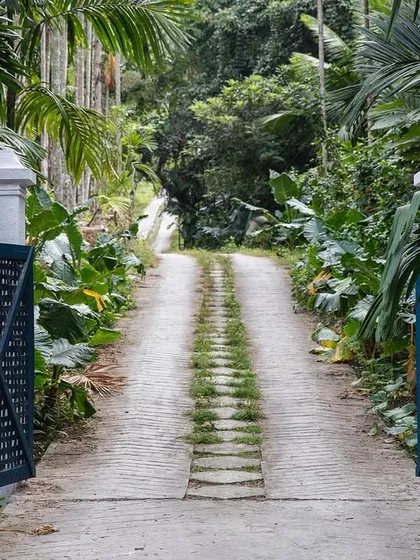 The entrance gate to Jalakara, where the journey begins. The path is flanked by lush tropical plants, immediately immersing visitors in the natural, serene environment of the property.