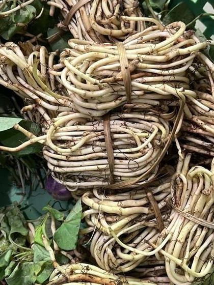 Bundles of edible roots or stems. These are likely used in stews or boiled dishes, providing a starchy texture and earthy flavor.