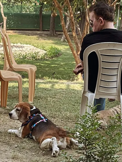 A weekend well spent. A pet parent relaxes while his Beagle soaks up the sun. Our space is designed for both pets and their humans to unwind and enjoy a therapeutic experience.
