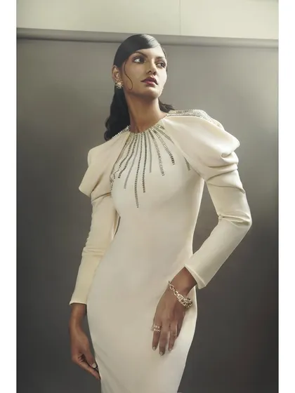 A detailed shot of the embellished neckline and puff sleeves on the Rudraksh Dwivedi gown. This highlights the craftsmanship of the garment, a key focus in lookbook photography.