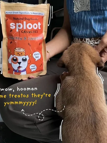 Our Sploot Crunchies were a big hit at the adoption event. Even the littlest puppies couldn't resist these yummy, hand-baked treats.