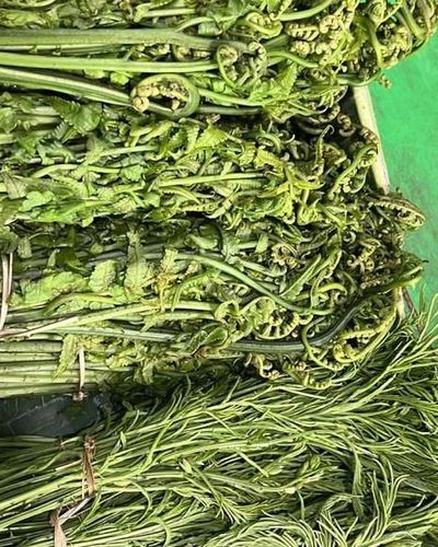 Fresh & Seasonal Northeast Produce