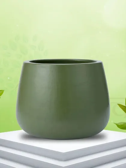 My Misa terracotta pot in olive green offers a simple, rounded shape with a matte finish. Paired with a wooden tray, this 4x4 inch pot is the essence of minimalist elegance.