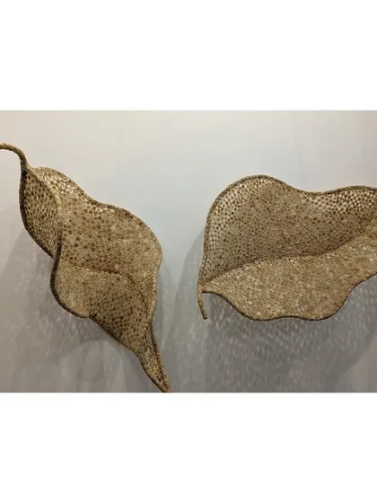Two sculptures from the 'Biography' series displayed at the India Art Fair. The organic, flowing shapes contrast with the stark white wall, highlighting their form and the intricate detail of their construction.