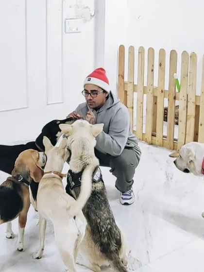 Santa came to visit the pack at KIGA. Even during the holidays, the dogs are here to socialize and have fun in a safe, supervised group.