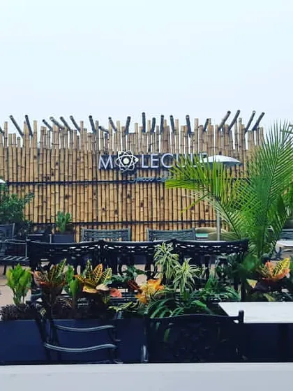 The rooftop at Molecule Air Bar features a mix of tropical plants like crotons and palms set against a bamboo screen. This design choice creates a vibrant, resort-like feel, offering patrons a green getaway with a view of the city.