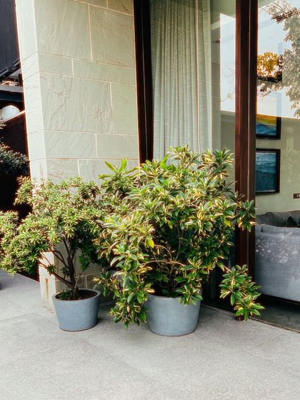 Lush Farmhouse & Villa Landscapes photo 32