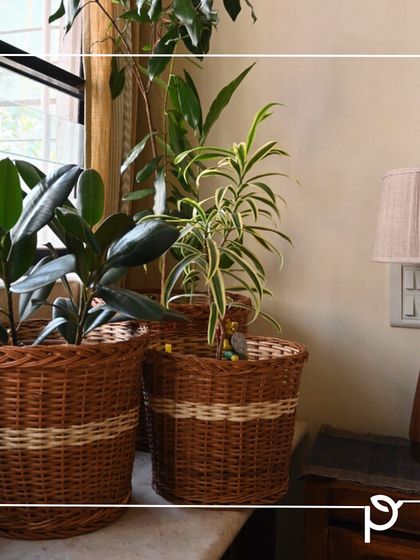 Sustainable Practices & Materials photo 12