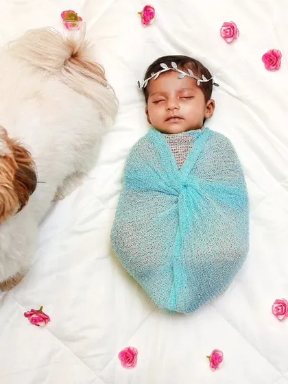 An overhead shot of a swaddled newborn and their happy shih tzu sibling, surrounded by a circle of pink rose petals.
