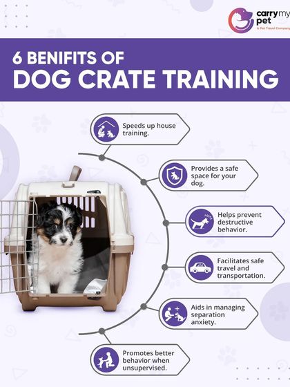 CarryMyPet - Pet Travel & Parenting Consultation Your Pet Travel Questions, Answered photo 36