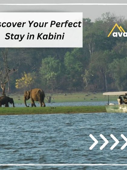 Kabini is one of the best places in the world for wildlife spotting, and choosing the right stay is key. I can help you pick the perfect lodge, from the classic Kabini River Lodge to the luxurious Evolve Back, ensuring your safari experience is top-notch.