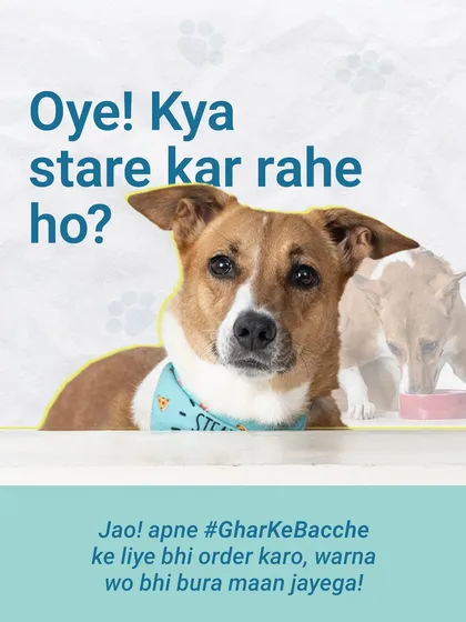 Sheru is giving you the look. "Oye! Kya stare kar rahe ho? Jao, apne #GharKeBacche ke liye bhi order karo!" Don't let your pet miss out.