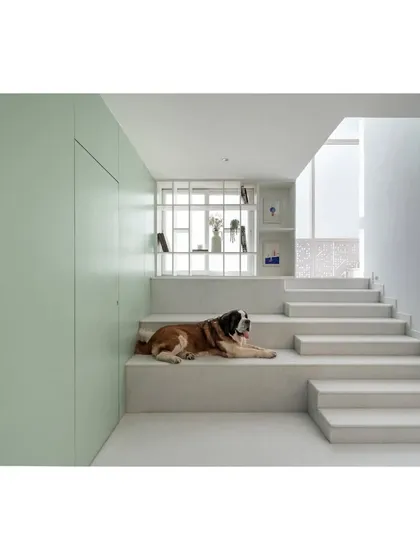 The wide, multi-level staircase in the House Above The Tree is designed as a place to pause and relax. The clean lines and soft green storage wall create a calm, minimalist aesthetic that is also pet-friendly.