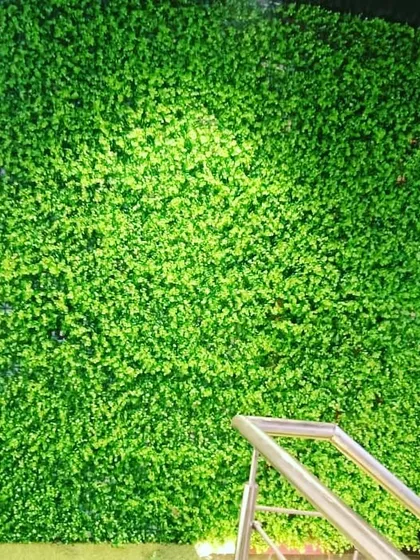 A straight-on shot of the dense green wall, showing how it provides a clean and vibrant look that requires zero maintenance.
