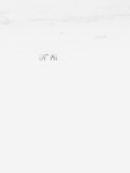 Duplicate of image 60.