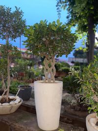 Plant & Gardening Supplies Retail