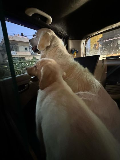 Deepthi - Dog Travel & Adventure Coaching On The Road: Mastering Indian Travel photo 7