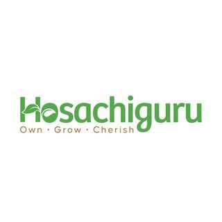 Hosachiguru