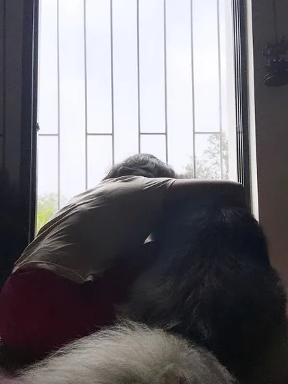 Leaning in for comfort. This image beautifully represents the safe and loving bond that every pet and parent deserves.